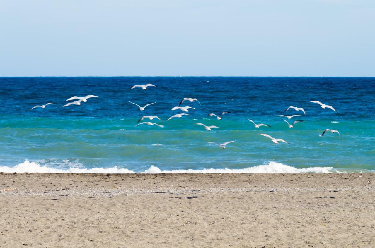 토레델마르 La Palometa 아파트 외부 사진